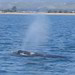 Barbara Kidd Photo 12