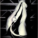 Cynthia Harley Photo 5