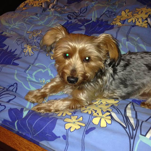 Santiago Garcia Photo 44