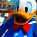 Donald Stephen Photo 13
