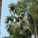 Zong Tang Photo 9