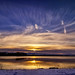 Terry Winters Photo 19