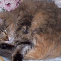 Judith Atkinson Photo 37