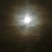 Gary Moon Photo 31