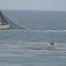 Andrea Hahn Photo 22