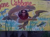 Robbie Robinson Photo 9