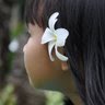 Huong Phung Photo 25