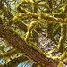 Jeffrey Wolf Photo 38