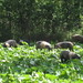 Cathy Hartman Photo 16