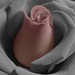 Christine Viens Photo 17