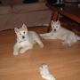 Nancy Baldwin Photo 32