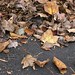 Autumn Butler Photo 21