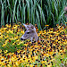 Susan Pender Photo 28