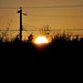 Stephen Brace Photo 7