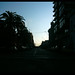 Leonel Colon Photo 17