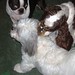 Susie Wiley Photo 13