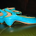 Tracey Summers Photo 16