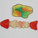 Ray Fish Photo 15