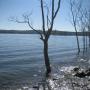 Debbie Mears Photo 14