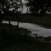 Warren Weaver Photo 10
