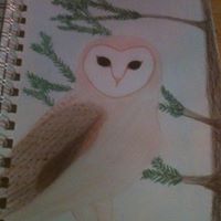 Erin Davison Photo 43 Erin Davison Photo 43