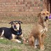 Cindy Conway Photo 22