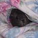 Teddy Sweat Photo 5