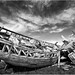 Mark Doucet Photo 2