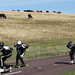 Kim Hanson Photo 17