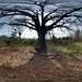 Mark Blackmon Photo 9
