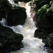 Adam Fall Photo 25