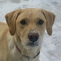 Leslie Robison Photo 26