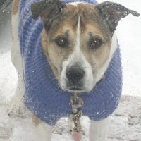 Debra Jacobsen Photo 12