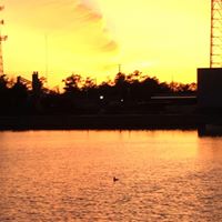 Sheri Snyder Photo 11