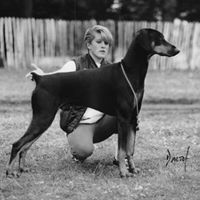 Victoria Chapman Photo 16