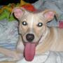 Connie Salter Photo 15