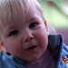 Alice Bradfield Photo 5