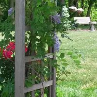 Cindy Bolen Photo 12