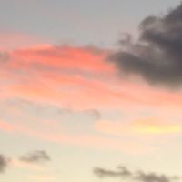 Stephen Cohen Photo 28