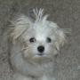 Jeanne Robinson Photo 5