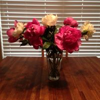 Elizabeth Freund Photo 14