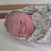 Timothy Sim Photo 15