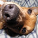Jack Spaulding Photo 25