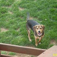 Mae Mills Photo 16