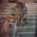Billi Rather Photo 4