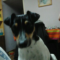 Maria Chacon Photo 11
