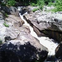 Allison Skinner Photo 22