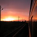 Jeanne Perdue Photo 9