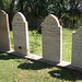Matthew Forrester Photo 14