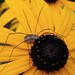 Judith Long Photo 19